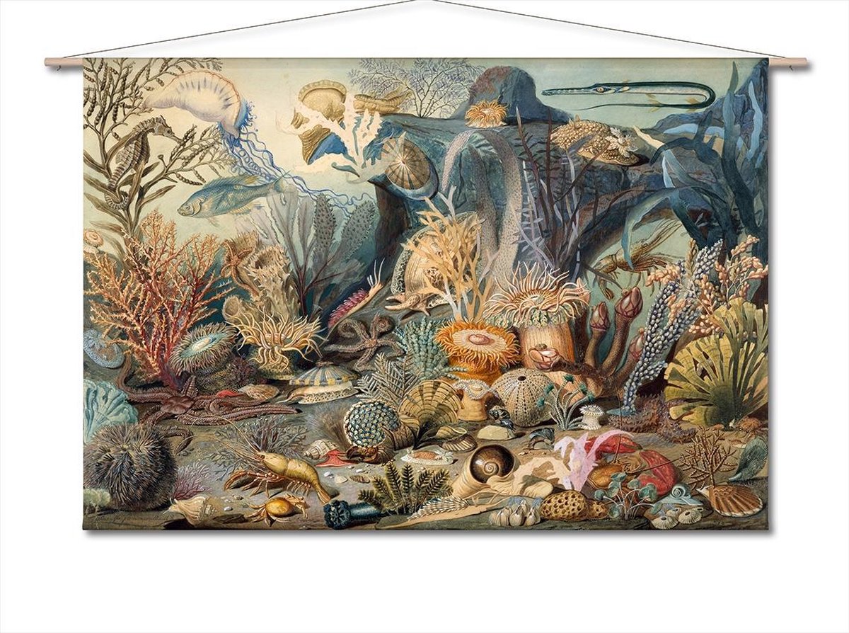 Naturalis Unlimited Wandkleed-XL Kleurrijk leven in de zee - James M. Sommerville blauw