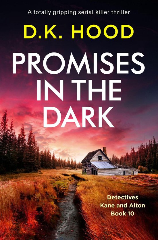 Detectives Kane and Alton 10 - Promises in the Dark - cover