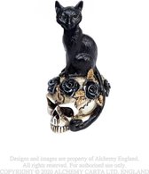 Alchemy Beeld/figuur Cat/Skull Zwart/Creme