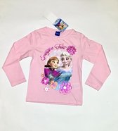 Disney Frozen longsleeve  - Springtime frost - lichtroze - maat 110 (5 jaar)