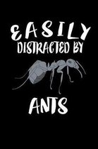 Easily Distracted By Ants