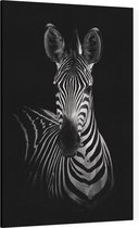 Zebra op zwarte achtergrond - Foto op Canvas - 30 x 45 cm
