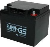 Fiamm FG24204 12V 42 Ah Loodaccu/loodaccu/AGM Lood Non Spillable VdS 8019887382965