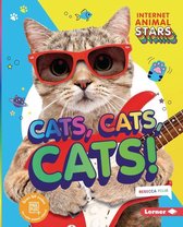 Internet Animal Stars - Cats, Cats, Cats!