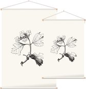 Gelderse Roos zwart-wit (Guelder Rose) - Foto op Textielposter - 120 x 180 cm