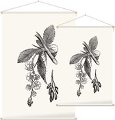 Berberis zwart-wit (Barberry) - Foto op Textielposter - 90 x 135 cm
