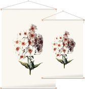 Vlambloem (Phlox White) - Foto op Textielposter - 90 x 135 cm