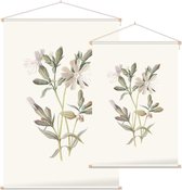 Avondkoekoeksbloem (White Campion) - Foto op Textielposter - 120 x 180 cm