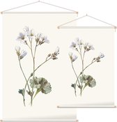 Steenbreek (Saxifrage) - Foto op Textielposter - 120 x 180 cm
