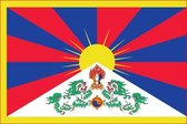 Vlag Tibet 70x100cm