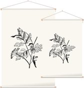 Torilis zwart-wit (Hedge Parsley) - Foto op Textielposter - 120 x 180 cm