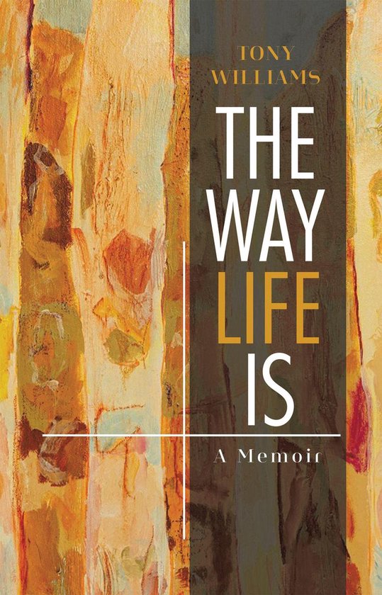 The Way Life Is - cover