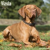 Vizsla Kalender 2021