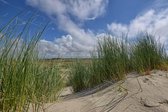 Fotobehang vuurtoren van Ameland 250 x 260 cm