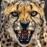 Cheetah Calendar 2020