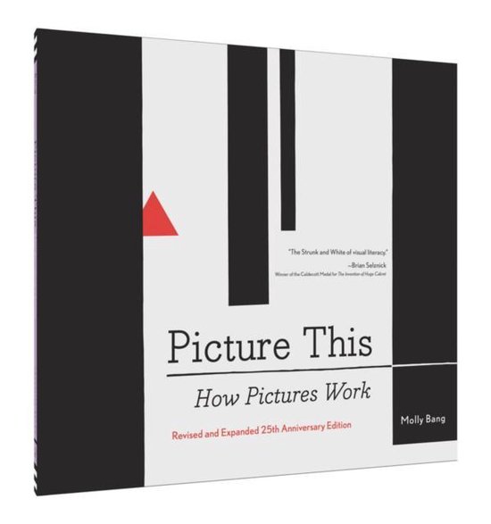Picture This. 20th Anniversary Edition - cover