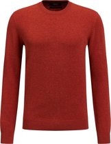 WE Fashion Heren fijngebreide trui van katoenmix - Maat L