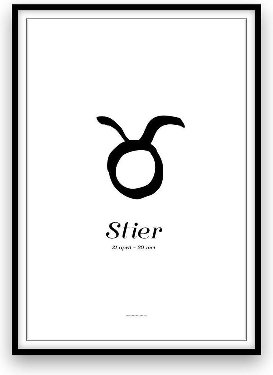 Stier - Poster - A3 formaat