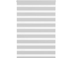 vidaXL - Zebra - rolgordijn - 105x150 - cm - stofbreedte - 100,9 - cm - lichtgrijs