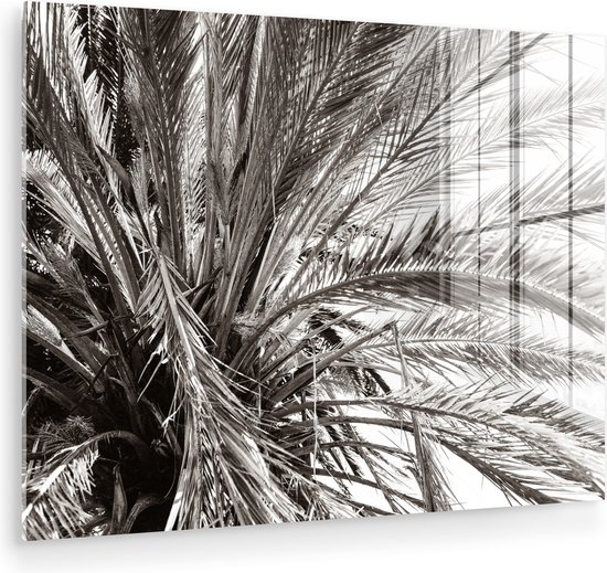MuchoWow® Glasschilderij 40x30 cm - Schilderij acrylglas - Palmboom - Tropisch - Zwart - Wit - Foto op glas - Muurdecoratie woonkamer - Wanddecoratie slaapkamer - Schilderijen