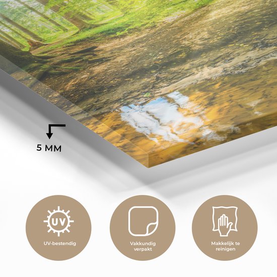 Glasschilderij - Acrylglas - Bos - Zon - Rivier - Wanddecoratie - Glasschilderij binnen - Foto op glas - 90x120 cm - Schilderij - Glasschilderij natuur