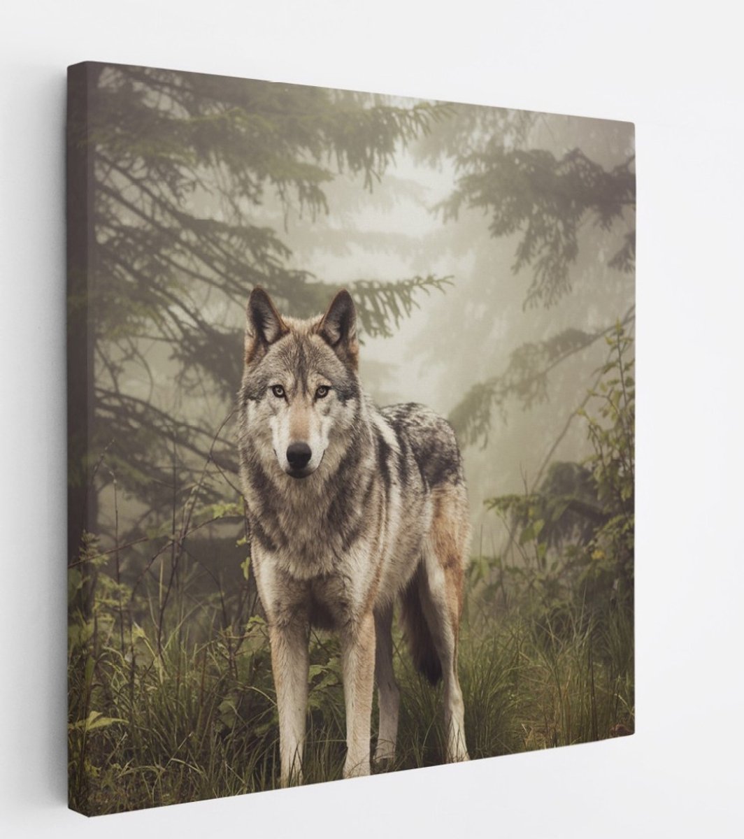 Saammp Canvas Schilderij - Wolf tussen de bomen - Dieren - Natuur - 40x40 - Foto op canvas - Wanddecoratie - muurdecoratie Woonkamer - Slaapkamer decoratie - Canvas Print Multicolor