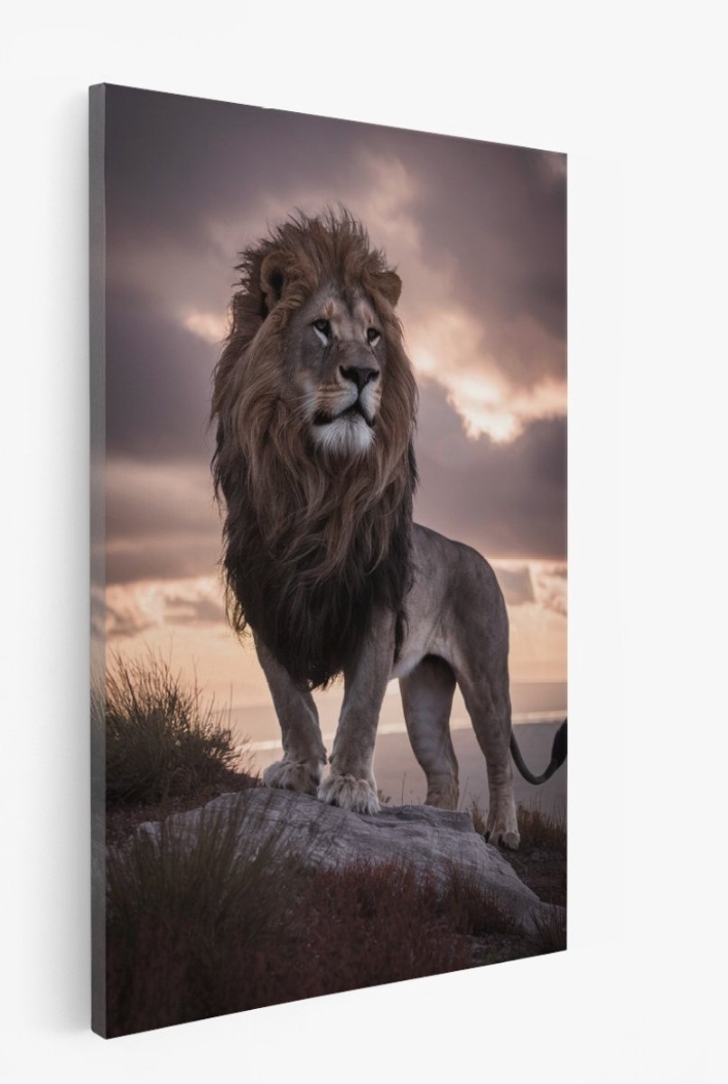 Saammp Canvas Schilderij - Leeuw op rots - Afrika - Dieren - 50x70 - Foto op canvas - Wanddecoratie - Muurdecoratie Woonkamer - Slaapkamer decoratie - Canvas Print Multicolor