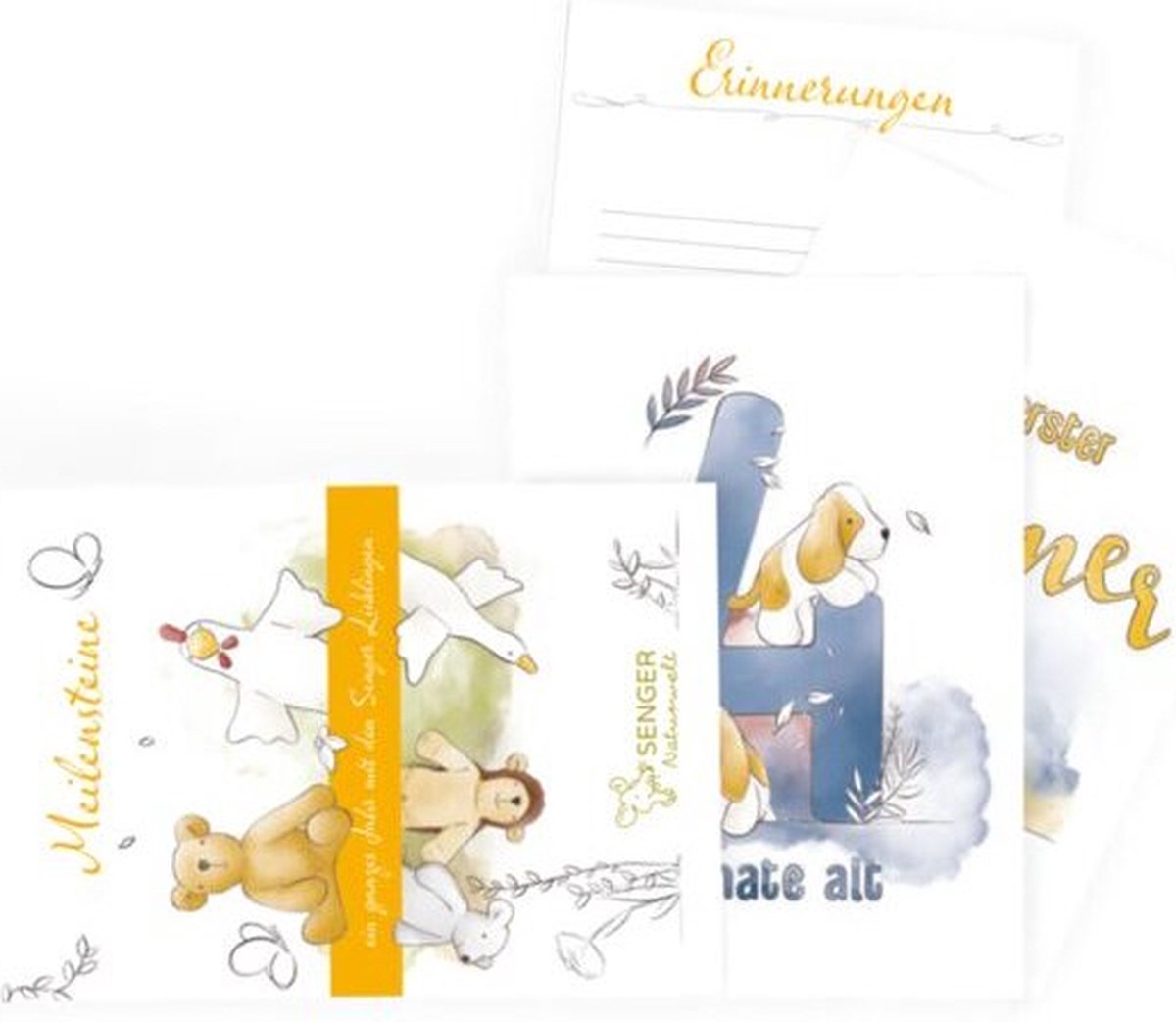Senger Naturwelt Mijlpaalkaarten – set van 16 kaarten voor zwangerschap en eerste jaar