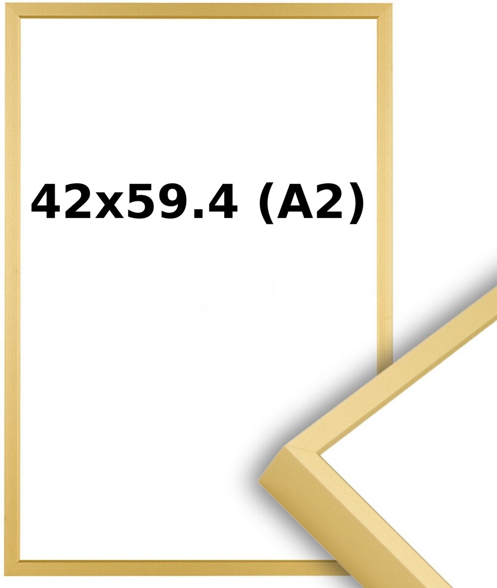 Lichtendonk Aluminium Wissellijst A2 42 x 59.4 Mat Champagne Goud - Ontspiegeld Glas - Professional