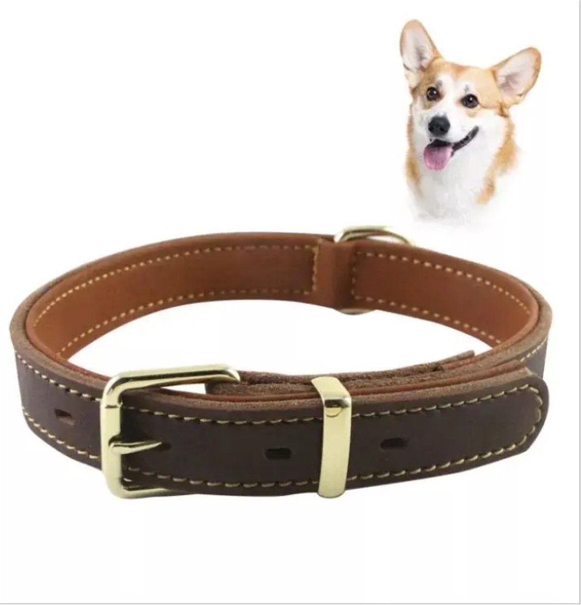 EYZ Echte Leren Hondenhalsband - Bruin - Maat M - (37-49 cm) x 2,5 cm - Sterke en Stijlvolle Halsband voor Honden - Leren Halsband Hond - Stoere Hondenhalsband