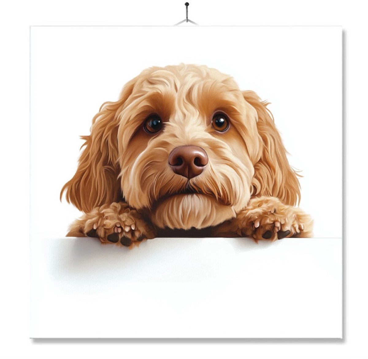 Tegel Met Opdruk | Cockapoo