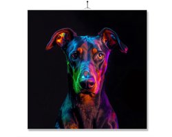 Tegel Met Opdruk | Close up | Regenboog | Dobermann