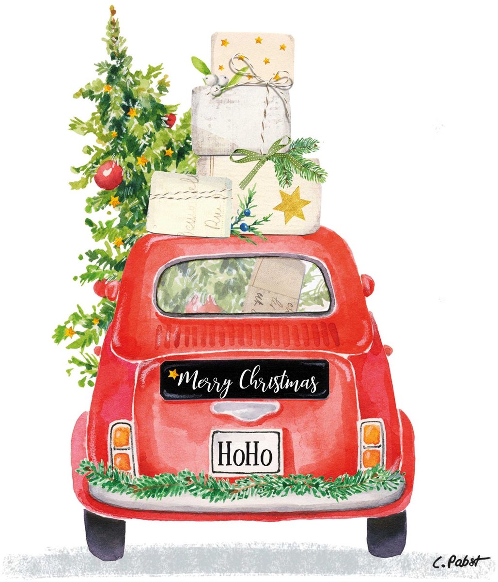 PPD - Lunch servetten - Christmas Taxi