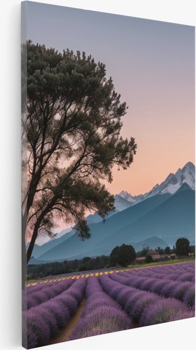Saammp Canvas Schilderij - Landschap - Grote boom tussen de lavendel - Natuur - 75x100 - Foto op canvas - Wanddecoratie - Muurdecoratie Woonkamer - Slaapkamer decoratie - Canvas Print Multicolor