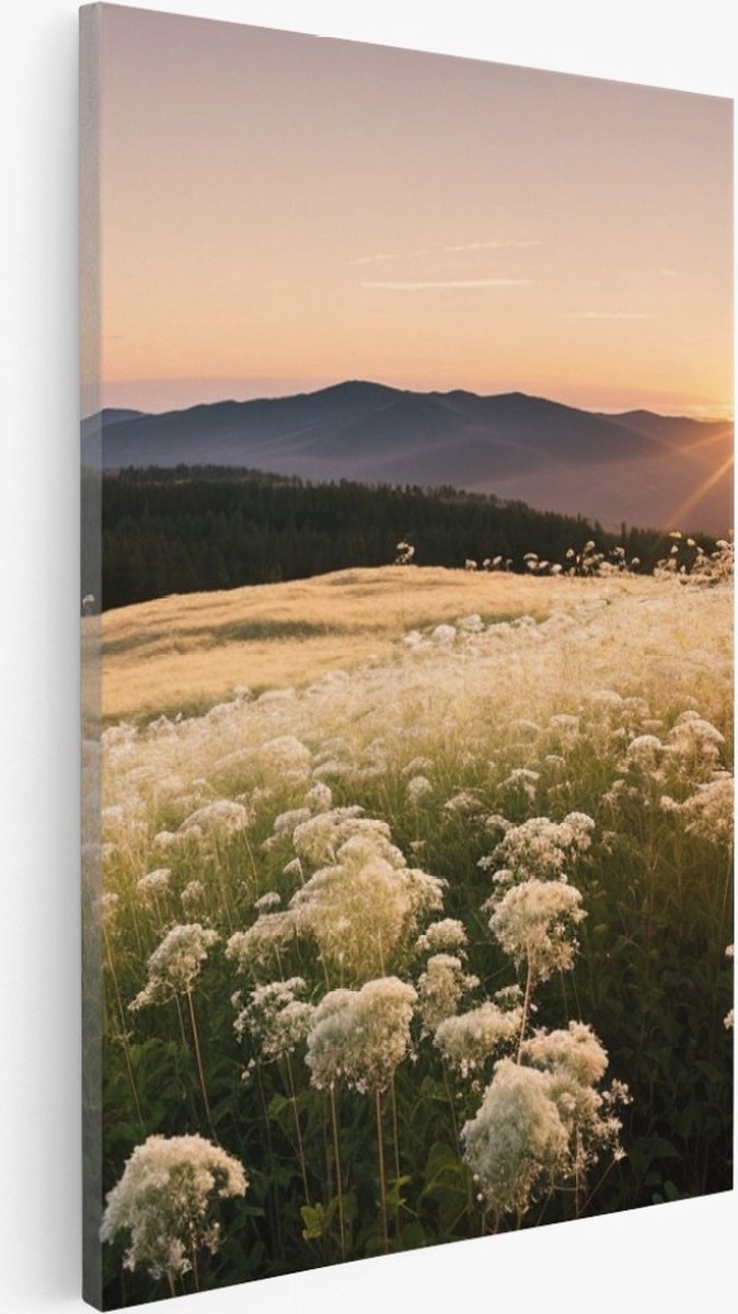 Saammp Canvas Schilderij - Landschap - Wit - Bloemenveld met zonsondergang en bergen - Natuur - 60x90 - Foto op canvas - Wanddecoratie - Muurdecoratie Woonkamer - Slaapkamer decoratie - Canvas Print Multicolor