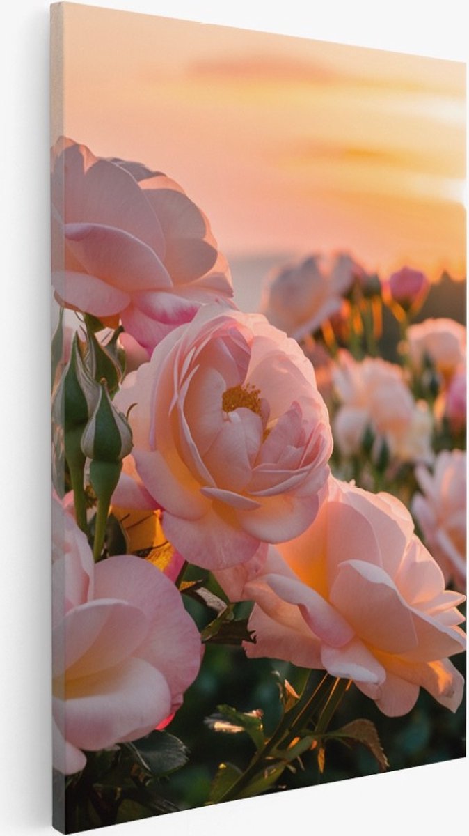 Saammp Canvas Schilderij - Roze bloemveld - Natuur - 60x90 - Foto op canvas - Wanddecoratie - Muurdecoratie Woonkamer - Slaapkamer decoratie - Canvas Print Multicolor
