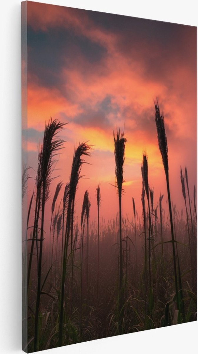 Saammp Canvas Schilderij - Graan tijdens zonsondergang - Natuur - Landschap - 30x40 - Foto op canvas - Wanddecoratie - Muurdecoratie Woonkamer - Slaapkamer decoratie - Canvas Print Multicolor