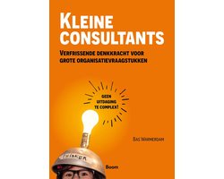 Kleine consultants