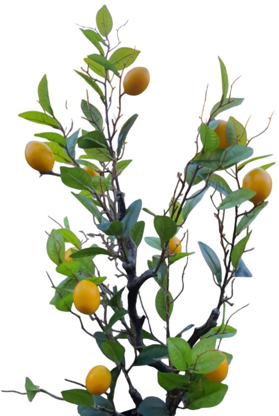 Citronnier artificiel Mica Decorations H120xP50cm