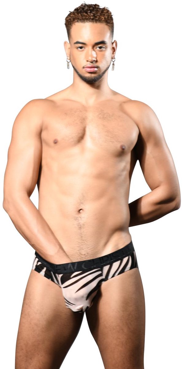 Goedkoopste Andrew Christian Palmero Sheer Brief w/ ALMOST NAKED® - MAAT L - Erotisch Heren Ondergoed - Slip voor Man - Sexy mannen Slip