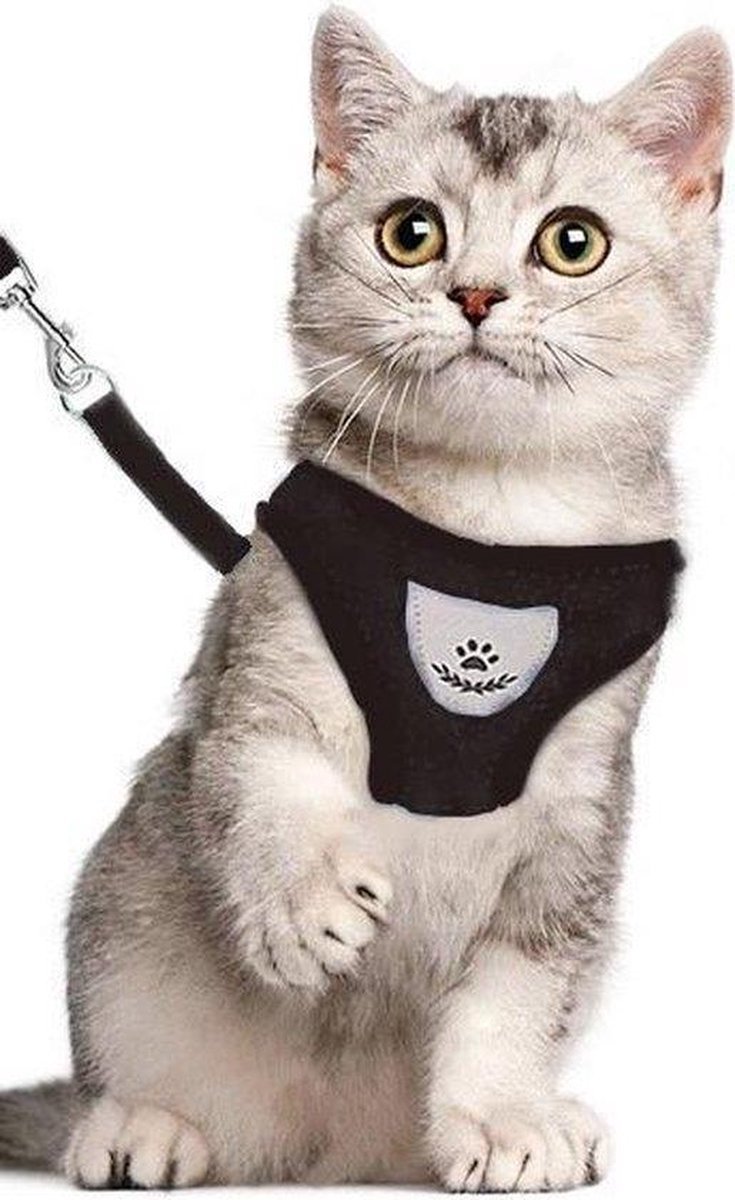 Bol.com Kattentuigje- Kattenharnas- Looplijn- verschillende kleuren- Maat S- Kleur Zwart - Kitten tuigje aanbieding