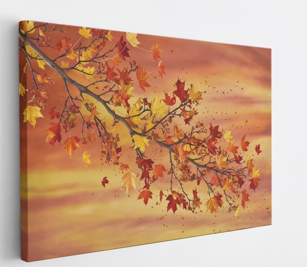 Saammp Canvas Schilderij - herfst tak - Abstract - 60x40 - Foto op canvas - Wanddecoratie - Muurdecoratie Woonkamer - Slaapkamer decoratie - Canvas Print Multicolor