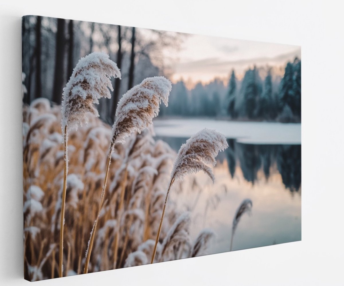 Saammp Canvas Schilderij - Natuur - Bevroren riet - landschap - 40x30 - Foto op canvas - Wanddecoratie - Muurdecoratie Woonkamer - Slaapkamer decoratie - Canvas Print Multicolor