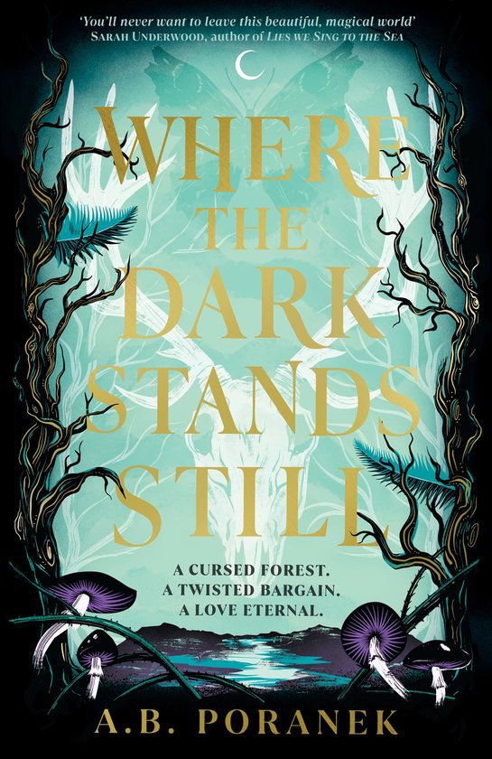 Where the Dark Stands Still - cover