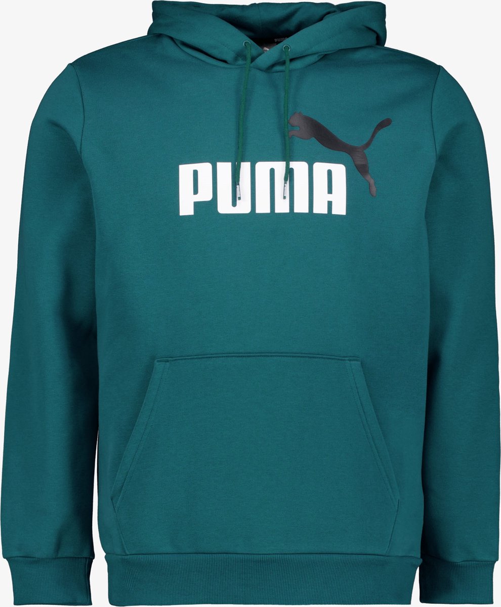 Puma Essentials Big Logo heren hoodie Groen