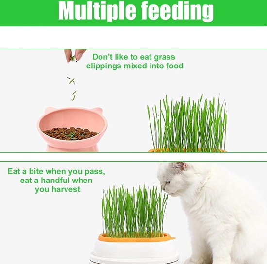 Pet-Buffet grass delicieux 6x gras kweken voor je cavia | bol Pet-Buffet grass delicieux 6x gras kweken voor je cavia | bol