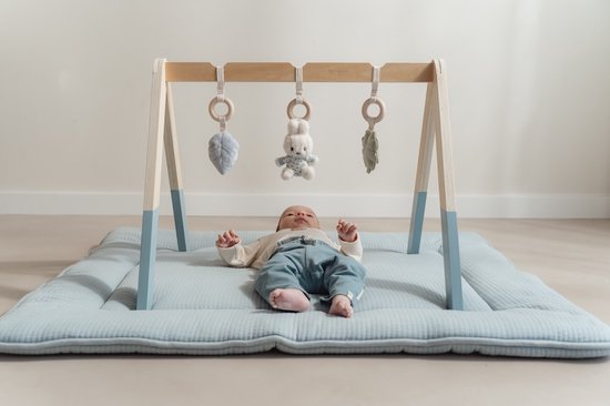 Nijntje x Little Dutch Babygym - Lucky Leaves van Little Dutch — afbeelding 4