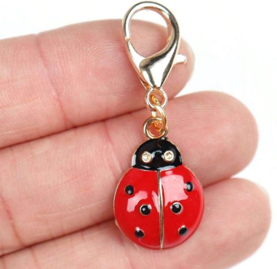 Lieveheersbeestje - Sleutelhanger - Gelukshanger - Hangertje - Lady Bug - Key Chain