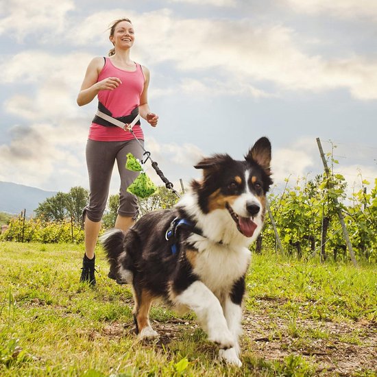 Jaap & Co ® Woof Wear - Poepzakhouder voor de hond - Poepzakjeshouders