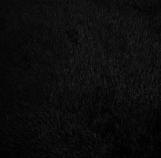 Tapis rond en velours à poils longs - Posh noir 200 cm rond